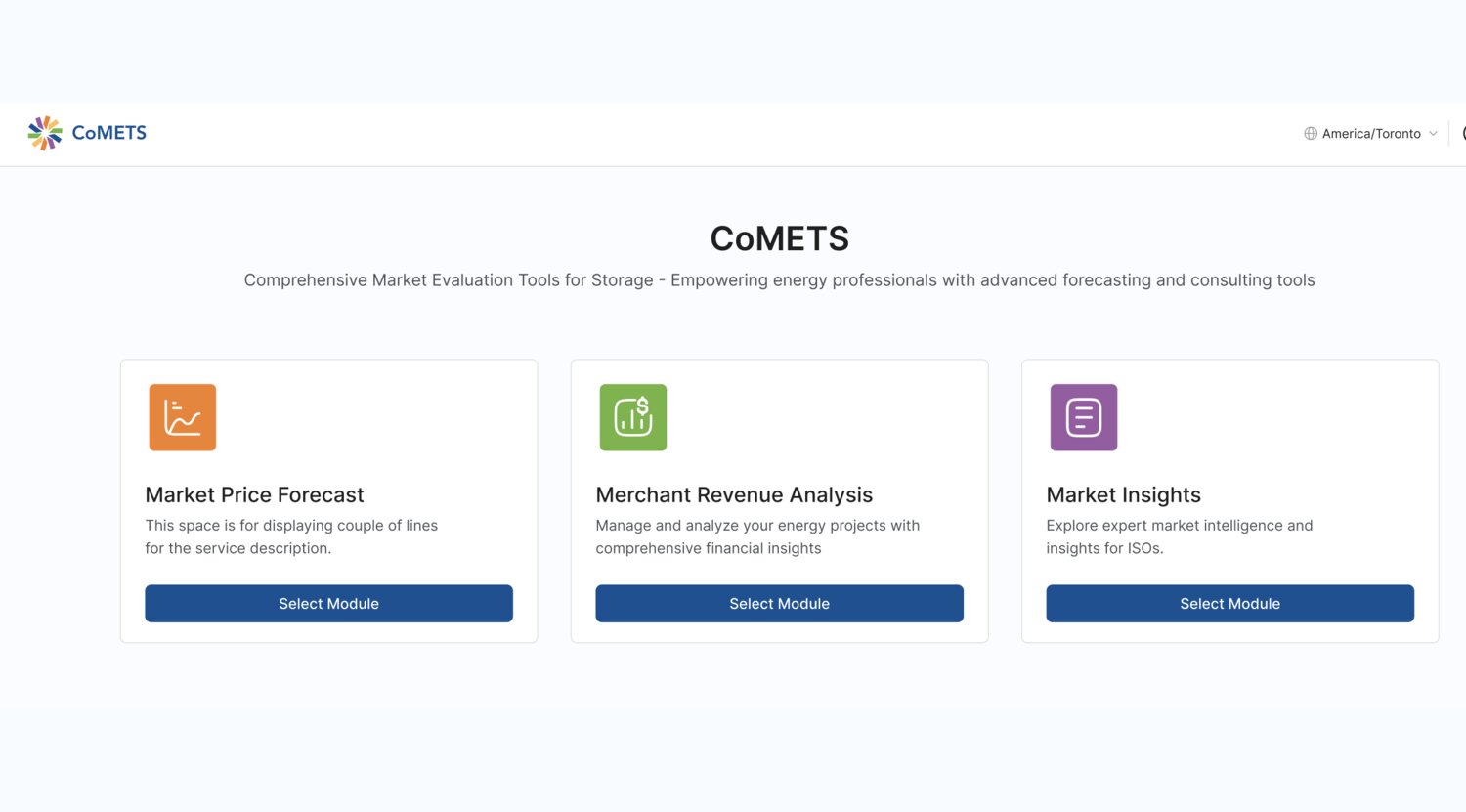 CoMETS home — Market Price Forecast, Merchant Revenue Analysis and Consulting Dashboard modules