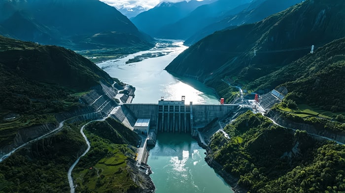 Power project developers